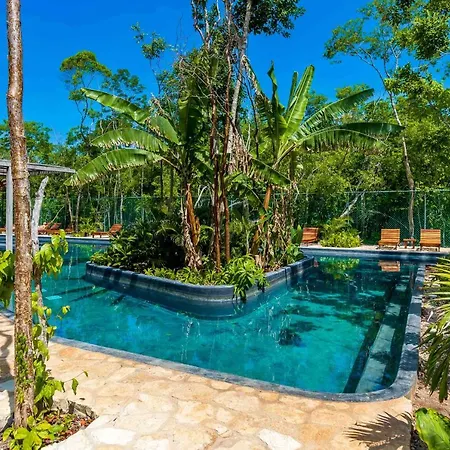 Superb 1Br In Tulum Jungle With Incredible Pool And Gym-3