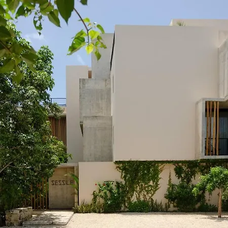 Lux. 1Br King Bed, Starlink Wifi, Aldea Zama Tulum-3