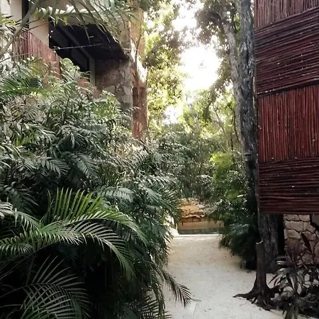 Agua & Selva Luxury Jungle Loft-3