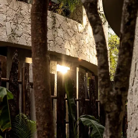 Tropical Bohemian Villa With 2 Pv Pools & Concierge-3