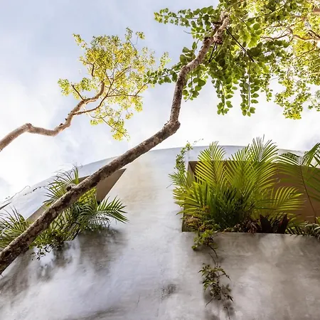 Tropical Bohemian Villa With 2 Pv Pools & Concierge-2