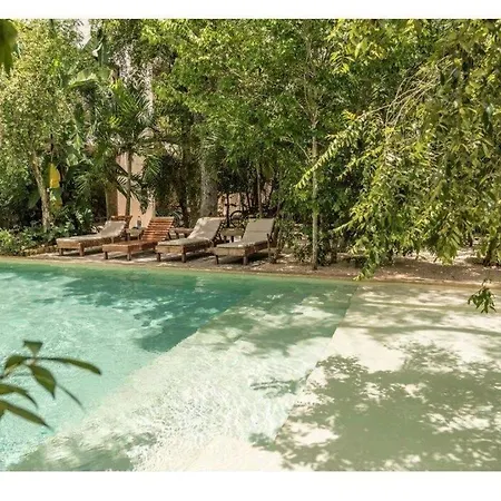 Palmeras Harmonious 2Br Home Garden And Pool-2