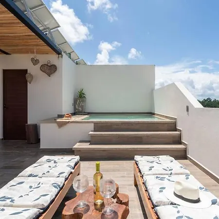 Cozy Ph 1 Bdrm Private Pool & Rooftop Tulum-2