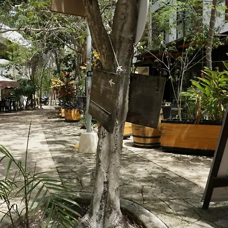 Apartment In Tulum Aldea Zama 1Br Viva-3