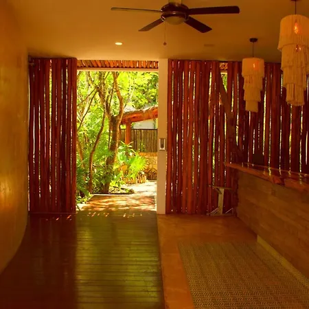 Palalma Casa Tulum - Luxury Apartment-3