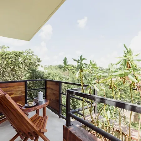 Luum Zama Luxury Villas By Luciernaga Maya-2