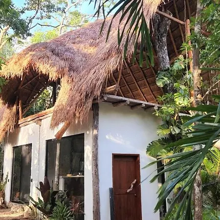 Selva Roca Tulum-3