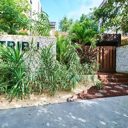 Tribu 306 Boho Design Gem In The Heart Of Tulum W/ Rooftop-3