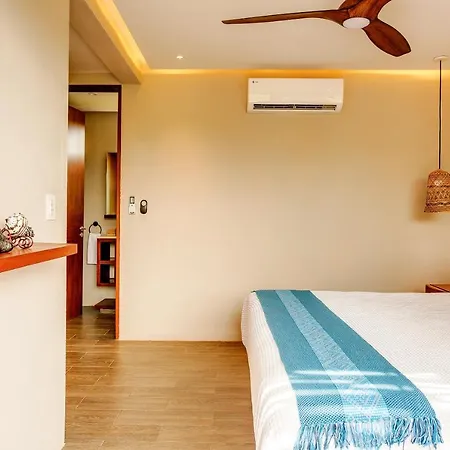 Eco-Designed & Nature-Infused Units By Stella Rentals-2