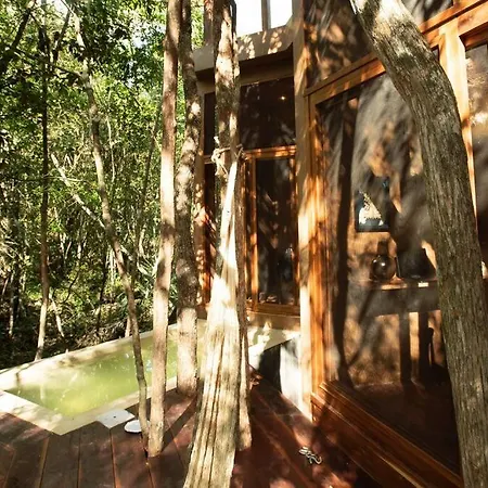 OJO DE AGUA. Design+pool. Vive la auténtica selva!-2