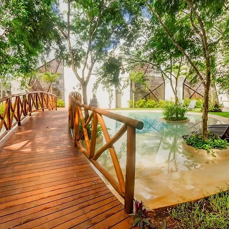Near Beach+Jungle Views. King Bed+220 Megs+2 Bikes-2