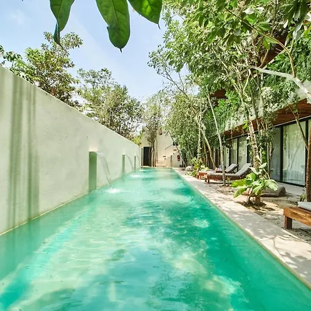 Impeccable Penthouse La Veleta Private Terrace With Pool Fitness Area & Shared Pool-3