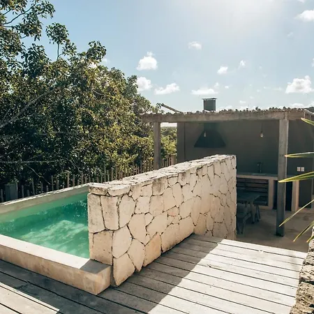 Vida Jungle Apart 7 With Special Fee To Access Hotel Bardo-2