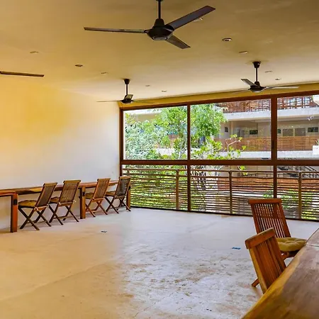 Selva Norte Cacao 204 - Studio-2