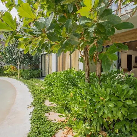 Hermoso Apartamento En El Corazon De Tulum, Aldea Zama.-2