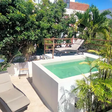 Estudio En Jungle Rooftop Con Terraza Y Alberca Privada Aldea Zama-3
