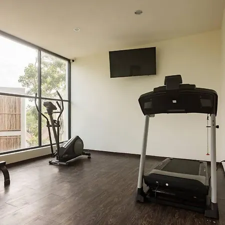 Amazing Studio With Private Pool Gym Temazcal-2