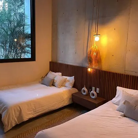 Soko Tulum Centro Dpto. 4-3