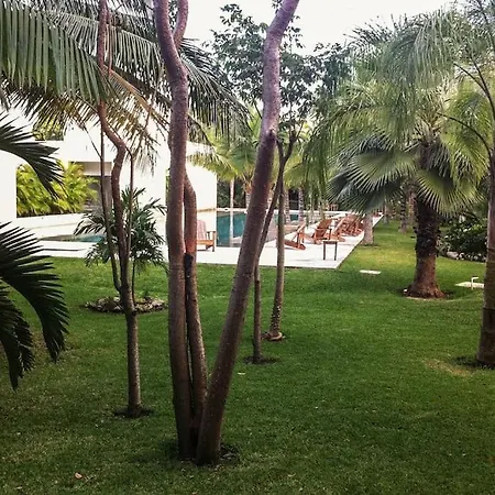 Home In Tulum W/Pool And Rooftop 5 Min Downtown-3