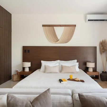 Stylish And Peaceful Jungle Studio-2