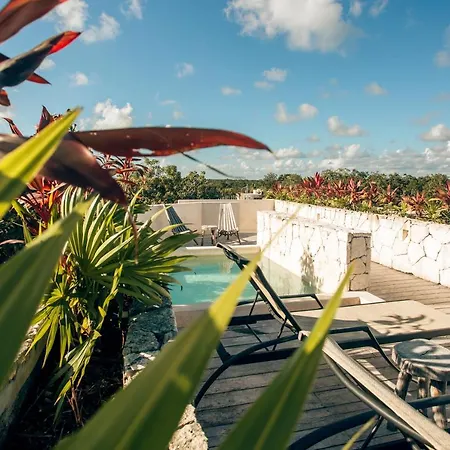 Vida Boho Apart 15 With Special Fee To Access Hotel Bardo-3