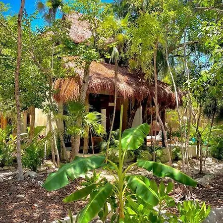 Villa Jungle Maya Tulum-2