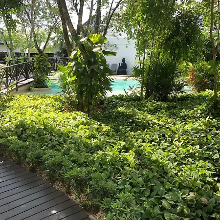 Beautiful Loft With Speed Wifi And Near From Beach-3