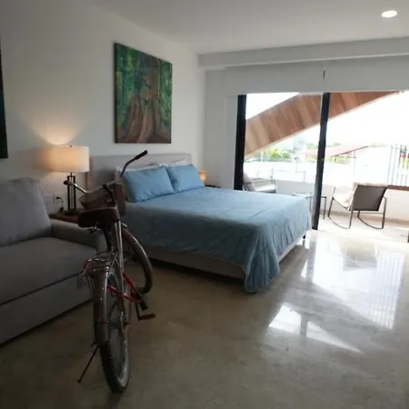 Menesse Condos By Guest Experience-3