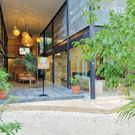 Eco-Friendly And Modern Loft 4 By Noox-2