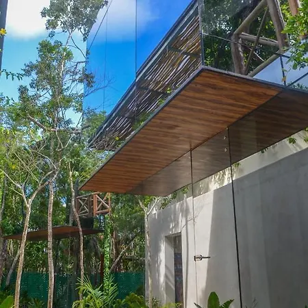 Cubo Invisible En La Selva-3