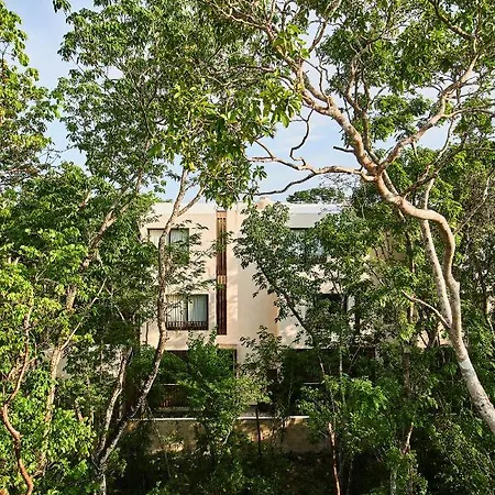 Afra 3 Beautiful Jungle House With Private Pool-3