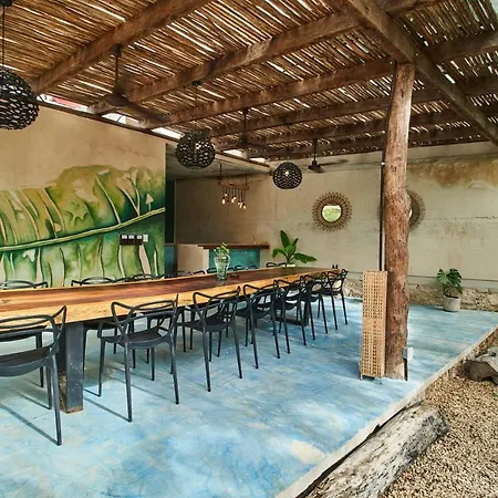 Digital Nomad Haven - Colive By Wenomads-2