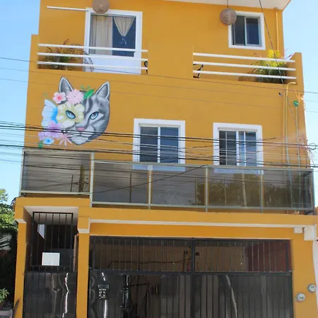 Casa Mia-2