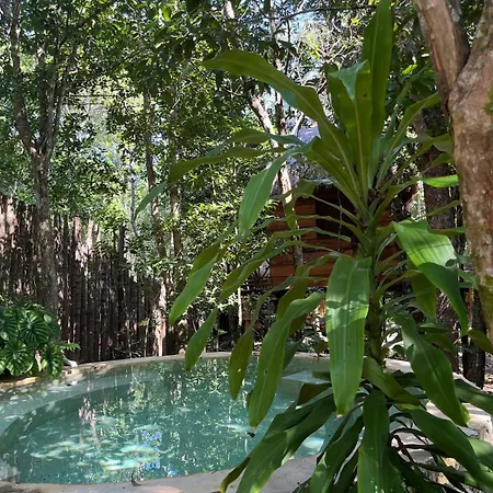 Selvaluna Cabana Eco-Chic-2