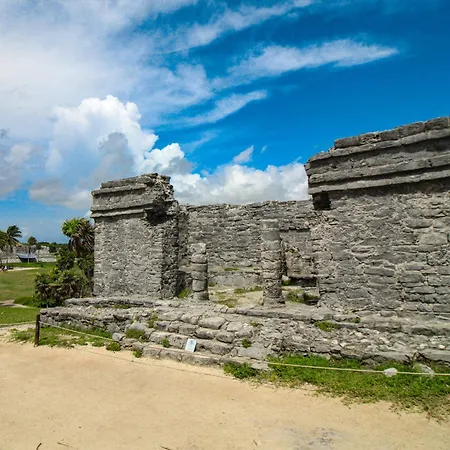 Menesse Tulum #327, Downtown-2