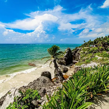 Tulum 58 Unit 1 At La Veleta-2