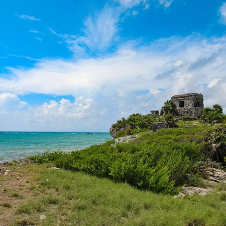 Pure Tulum 202-2