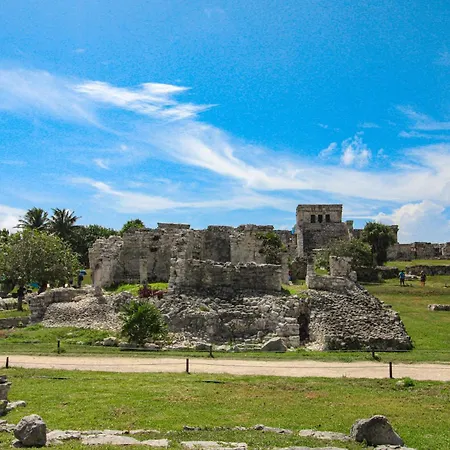 Pure Tulum 202-3