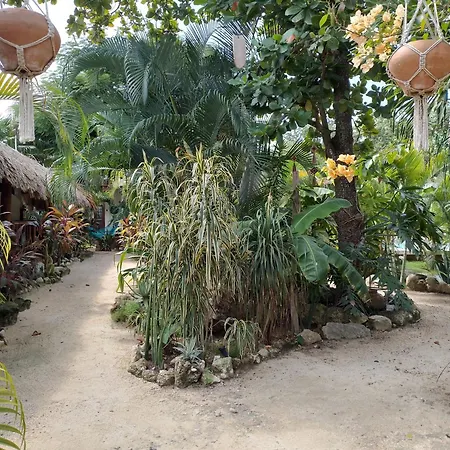 Zamunda Garden View-2