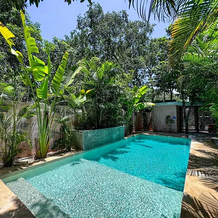 Lovely Penthouse In The Greenest Tulum-2