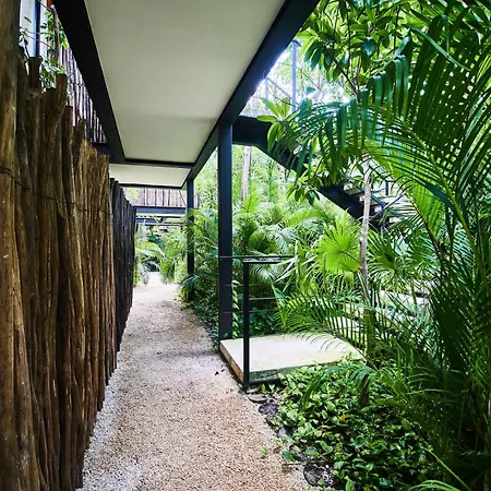 Disfruta De Tulum En Aldea Zama Apartamento Con Piscina Privada Y Seguridad 24 7-2