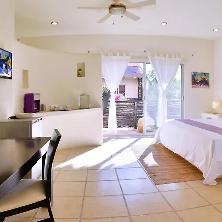 Villas Geminis Boutique Condohotel-2