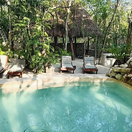 Agua & Selva Luxury Jungle Loft-2
