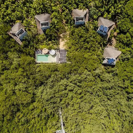 Vida Silvestre Tulum-2