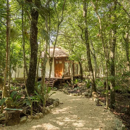 Pepem Holistic Experience - Peaceful Retreat Near Tulum (Adults Only)-2