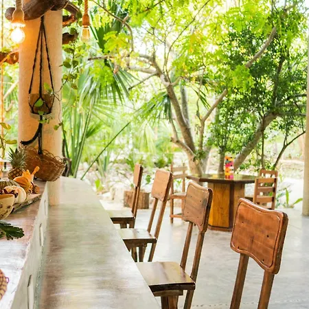 Pepem Holistic Experience - Peaceful Retreat Near Tulum (Adults Only)-3