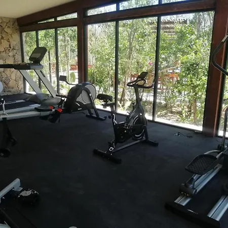Estudio Completo En La Selva-2