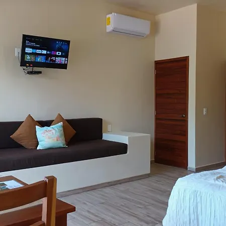 Boutique And Suites Kaban - Free Airport Transp - Free Continental Breakfast-2