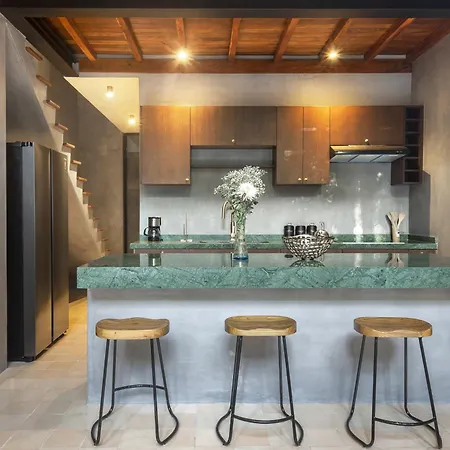 Templia I Luxury Loft Aldea Zama-3