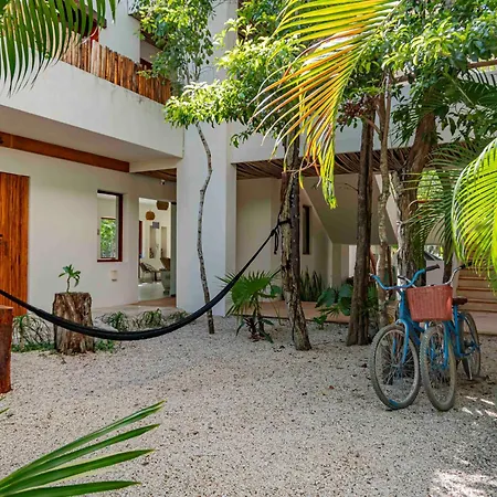 Niik Tulum-2